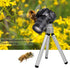 MOPFOL Mini Aluminum Alloy Flexible Tripod Stand Portable Bendable Legs Projector Holder with Ball Head for Camera