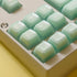 Jade Keycaps 160 Keys Custom Keycap Set, Double Shot PBT, RSA Profile, Translucent Shine Through for Mechanical