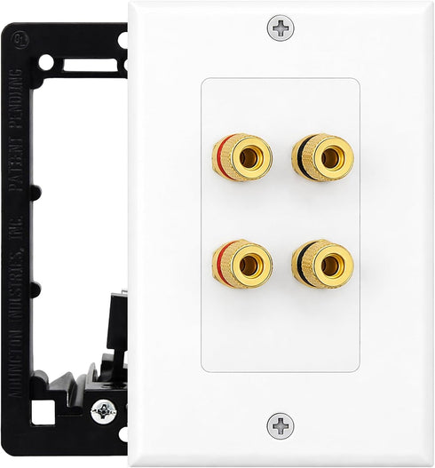 DIYTECH 2 Speaker Wall Plate, Home Theater Wall Plate, Gold Plated Binding