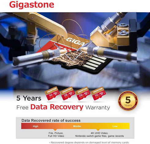 Gigastone 1 64GB 4K 95/35MB/s, U3 A2 V30 5-Years For Switch Only Micro SD Card, Game Pro, MicroSDXC Memory Card