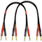 CESS-037-2f Banana Plug Male to Male Speaker Cable, 12 Gauge 680 Strand Count Silicone Soft Wire, 2 Feet