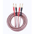 UCINNOVATE 2Pack 4m 13AWG Speaker Cable, Audiophile Grade Speaker Cable with Gold Plated Banana Plugs, Pre-Connected HiFi Copper Speaker Wire bi wired speaker cables for Home Theater (2X 4m / 13.12FT)