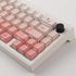 Tsungup PBT Keycaps Cherry Blossom Keycap Set, Custom Side Printed Pink Keycaps, 135 Keys Gradient DoubleShot Sakura
