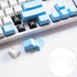 SOLUSTRE Keycap Storage Box, Transparent Mechanical Keyboard Divided Holder for Keycaps, Gaming Keyboard Box
