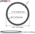 DS18 LRING12 LED RGB Speaker Ring Waterproof 12-Inch, Millions of Colors with RGB Module