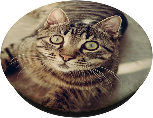 Pop out Cell Phones Funny kitten face Cute cats love PopSockets Standard PopGrip