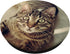 Pop out Cell Phones Funny kitten face Cute cats love PopSockets Standard PopGrip