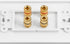 2 Setup DIYTECH Speaker Wall Plate, Home Theater Wall Plate, Gold Plated Binding Posts, for Home Theater