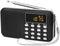 Leting Portable AM FM Radios with MP3 Speaker, Rechargeable Battery, Mini Radio with Best Reception, Supports Micro