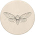PopSockets PopGrip: Swappable Grip for Phones & Tablets, Brood X Cicada 2021 Simple Minimal Cicada Illustration