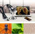 USB Digital Microscope, 1600x Magnification Endoscope Camera with Metal Stand for Windows, Android, and Mac