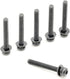 Replacement Screws 1 Set of Metric Screws (Model RS-198299) Pan Head - Philips Drive - Black Plated (Pack of 6)