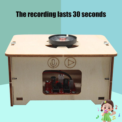 Handmade Wooden Gramophone Recorder - Musical Toy for Kids