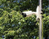 Real HD PM DS-1275ZJ LTB378 Pole Mount, Universal Vertical Pole Mount Adapter for Hikvision Wall Mounts Cameras PTZ