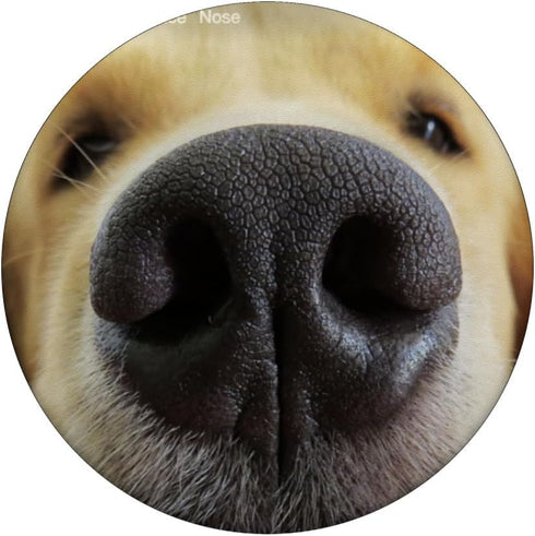 Dog Owner Muzzle Snoot Christmas Golden Retriever Gift PopSockets Standard PopGrip