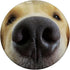 Dog Owner Muzzle Snoot Christmas Golden Retriever Gift PopSockets Standard PopGrip