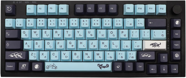 JSJT Japanese Keycap Set, Sky Blue 137 Keys PBT Dye Sublimation Custom Keycaps for Mechanical Keyboards