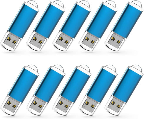RAOYI 10 Pack 1GB 1G USB Flash Drive USB 2.0 Memory Stick Bulk