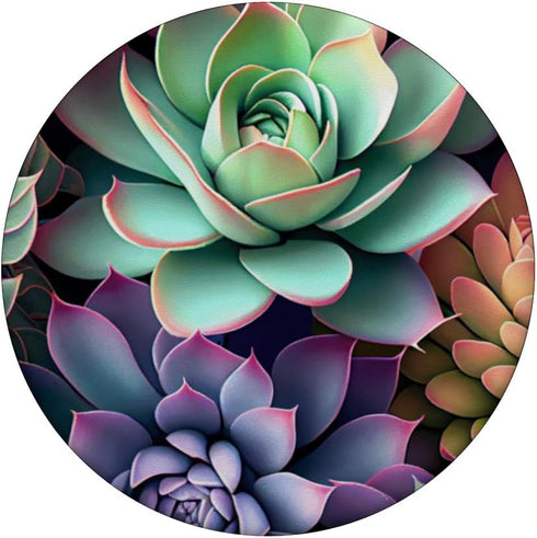 Succulents Pastel Colors PopSockets Standard PopGrip