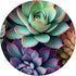 Succulents Pastel Colors PopSockets Standard PopGrip