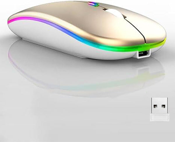 Wireless Bluetooth Mouse, LED Dual Mode Rechargeable Silent Slim Mouse, Portable for Laptop, Desktop, Tablet, Phone,