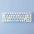 Hyekit PBT Keycaps - 145 Keys Baby Cat Keycaps, Dye-Sublimation Cute MOA Profile Custom Keycaps for Cherry MX