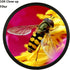 Yunir +1, +2, +4, +10 (62mm) Close Up Macro Lens Filter Kit with Lenses for Photography, Optical Glass Filters, Double