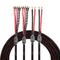 Tertullus 1 Pair Biwire Speaker Cable, 8 Spade Plugs, 4 Gold Plated Banana Plugs, HiFi for Stereo Receiver, 2m/6.56ft