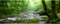 OERJU 72x16 inches Rainforest Terrarium Background, Deep Forest Tank Durable Polyester