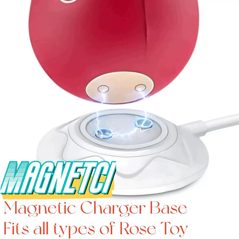 Replacement Rose Toy Charger - 2 Prong Magnetic USB Cable, Base Dock Station for Rose Toy, 31.5Inch Long Adult Toy
