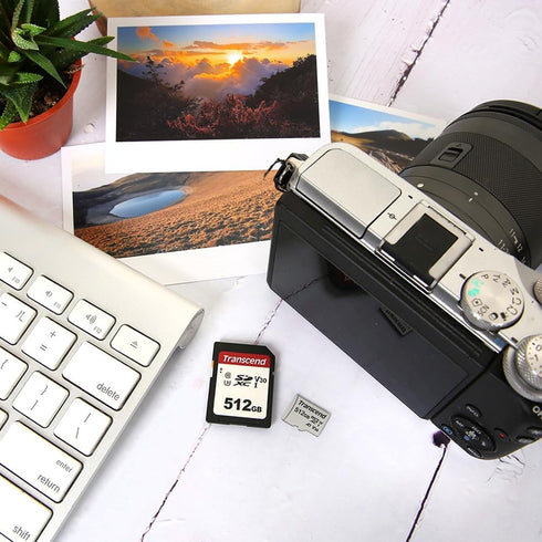 Transcend SDC300S 128GB 100MB/s, U1 V10, 10 SDXC SD Card, Compatible with DSLR Cameras/ Digital Cameras / Trail Cameras