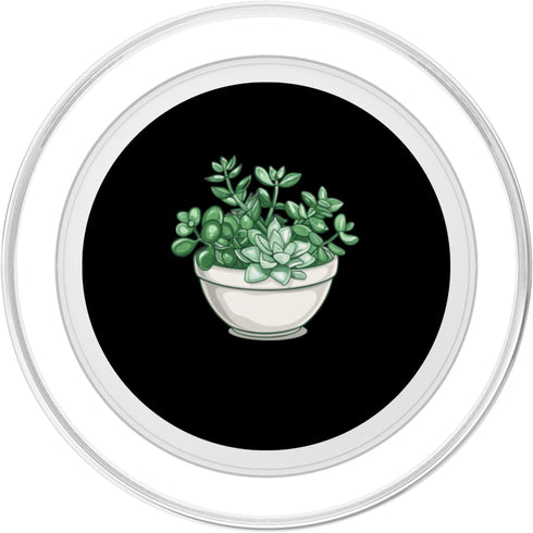 Jade Plant Crassula Ovata Lucky Plant Money Tree Jade Plant With Succulents PopSockets PopGrip for MagSafe
