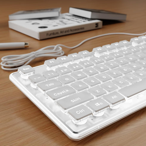 SEUNKWANG EWEADN GX710S Backlit Computer Keyboards, Wired USB Keyboard with White Backlit, Metal