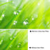 Walking Way 6 Points Star Filter 82 MM Variable Twinkle Effect Starburst Filter - Cross-screen Filter - Slim Sparkling Effect Lens Filter