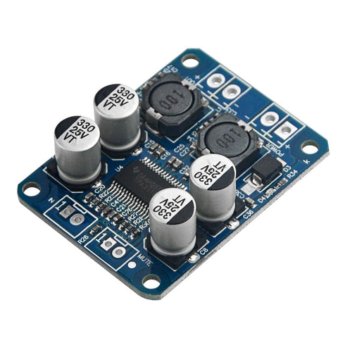 XINGYHENG 2Pcs TPA3118 Single Channel Digital Audio Power Amplifier Board Module, 1X60W