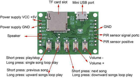 TEAMWILL MP3 Compact Voice Recorder with Playback and PIR Sensor