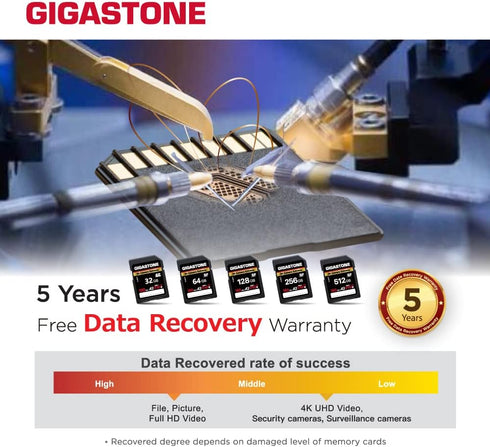 Gigastone 32GB SD Card, 4K Camera Extreme A2 V30 SDHC Memory Card for Canon, Nikon, Sony Cameras