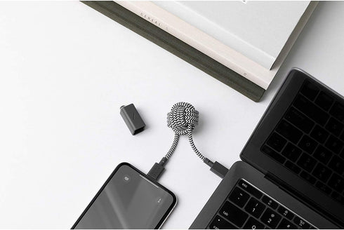 Native Union Key Cable - Durable USB-C to Lightning High Speed Charging Cable with Key Fob for iPhone 14, 13 (Zebra)