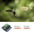 lekutas 512GB 120MB/s, C10, U3, A2, V30, 4K Micro SD Card, microSDXC UHS-I Flash Memory Card TF Card, High Read Speed