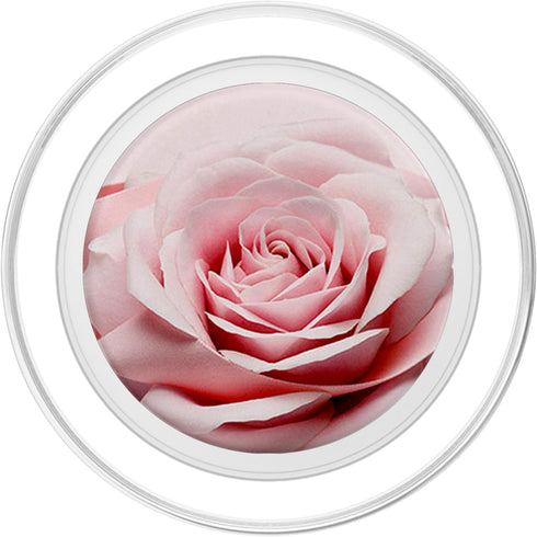 PopSockets PopGrip for MagSafe - Vintage Pink Rose Swappable Grip