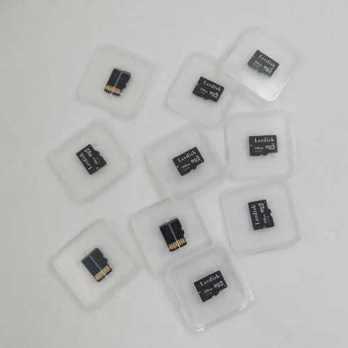 Lerdisk 256MB (0.25GB) Pack 10 MP3/Old Factory Wholesale Micro SD Card of in Bulk Low Capacity for Phones/Small Files