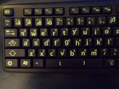 Vietnamese Keyboard Stickers with Fluorescent Inlays for All Laptop and Desktop Keyboards, Includes Pocket Magnifier