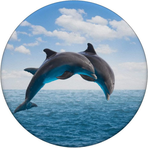 Dolphin In The Sea Cute Fish Mammal Animal PopSockets Swappable PopGrip