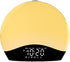 Wake Up Light Sunrise Alarm Clock for Kids, Bluetooth Speaker Sound Machine with 22 Natural Sounds, Dual Alarms, FM