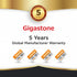 Gigastone 64GB 2-Pack, V30 4K 95MB/s 10, Micro SD Card Video Recording, Surveillance, Security Camera, Dash Cam, Drone