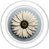 PopSockets MagSafe PopGrip for iPhone - Daisy Flower Graphic