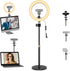 AceTaken Magnetic Webcam Light with Stand,10 Inch Ring Light with Adjustable Desktop Mount