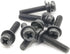 Replacement Screws, 1 Set of Metric Screws (Model RS-204014), Pan Head - Philips Drive - Black Plated (Pack of 7)