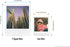 Polaroid Go Color Film Double Pack (16 Photos) (6017) - Compatible Only with Polaroid Go Camera