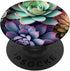 Succulents Pastel Colors PopSockets Standard PopGrip